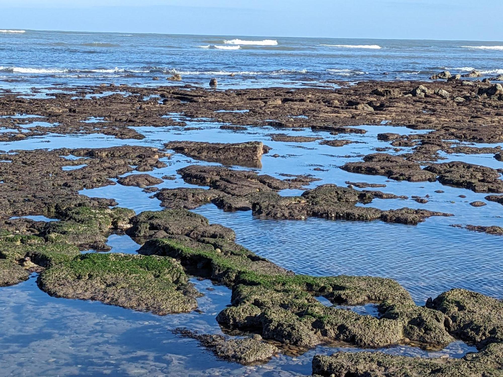 Mesdunes Azemmour Exteriör bild